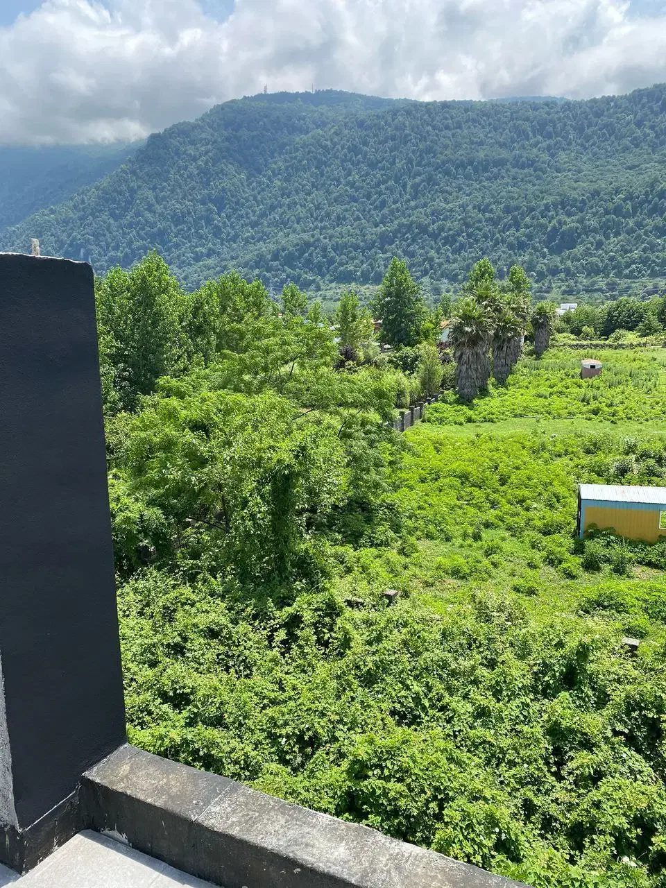 مزگاه /ویوی ابدی کوه و جنگل/ویلامدرن|فروش خانه و ویلا|نوشهر, |دیوار