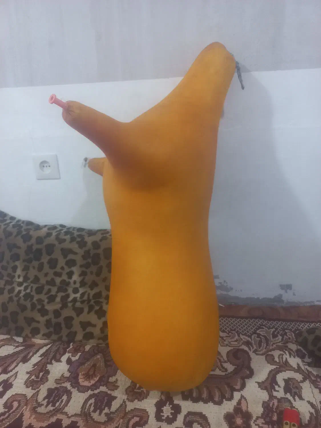 نی انبان (نی همبان)()|سازهای بادی|عسلویه, |دیوار