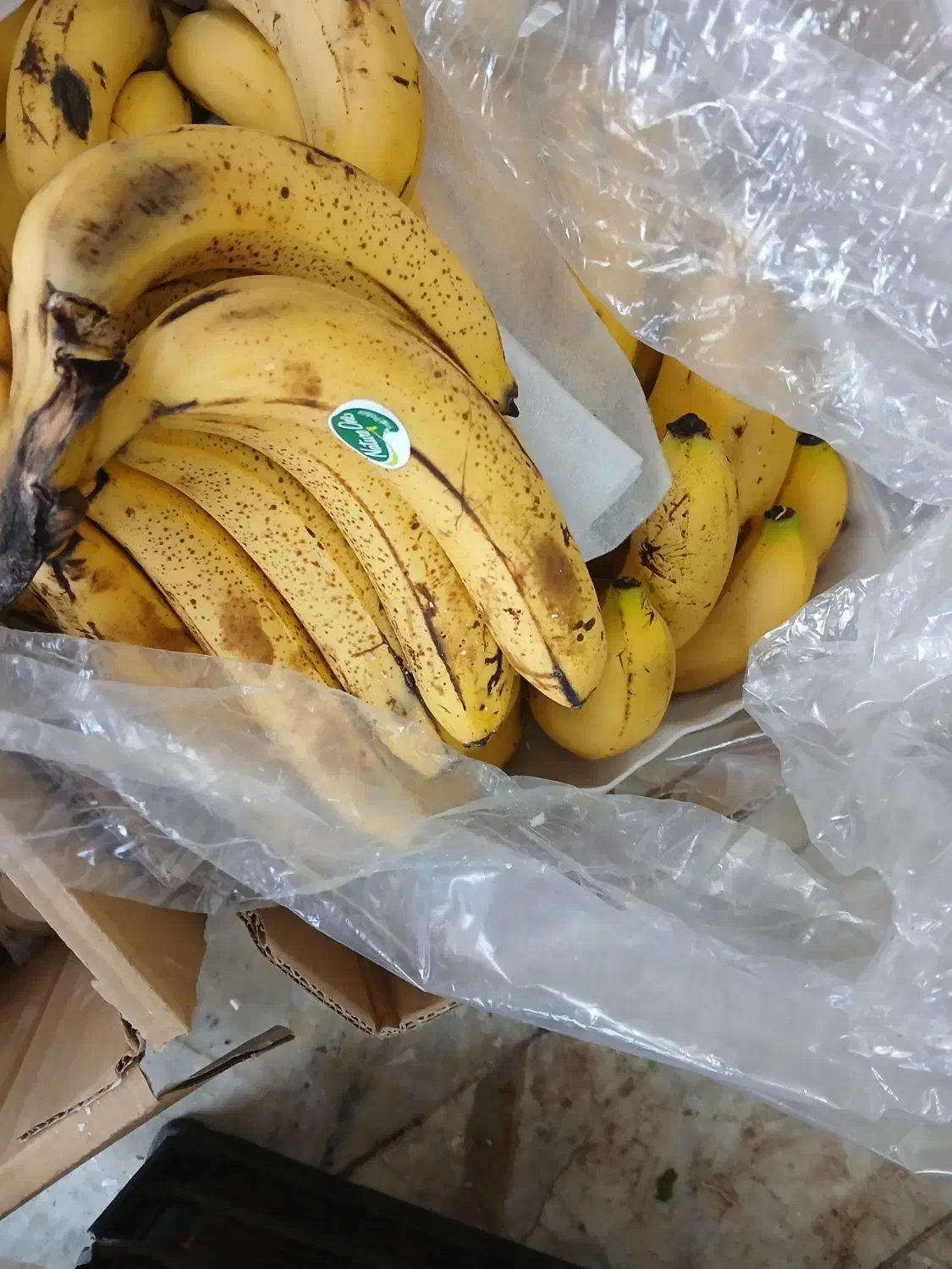 میوه فروشی حاجی ارزونی واقعی|خوردنی و آشامیدنی|شهریار, شهرک بهاران (ویره)|دیوار