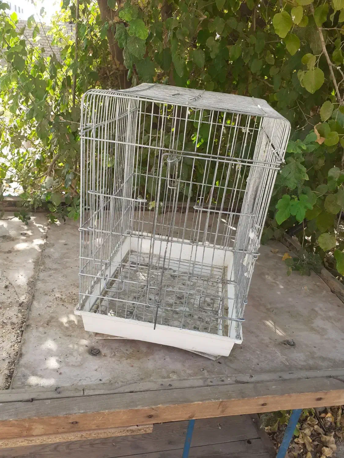 قفس عروسی هلندی|لوازم جانبی حیوانات|قرچک, پویینک|دیوار