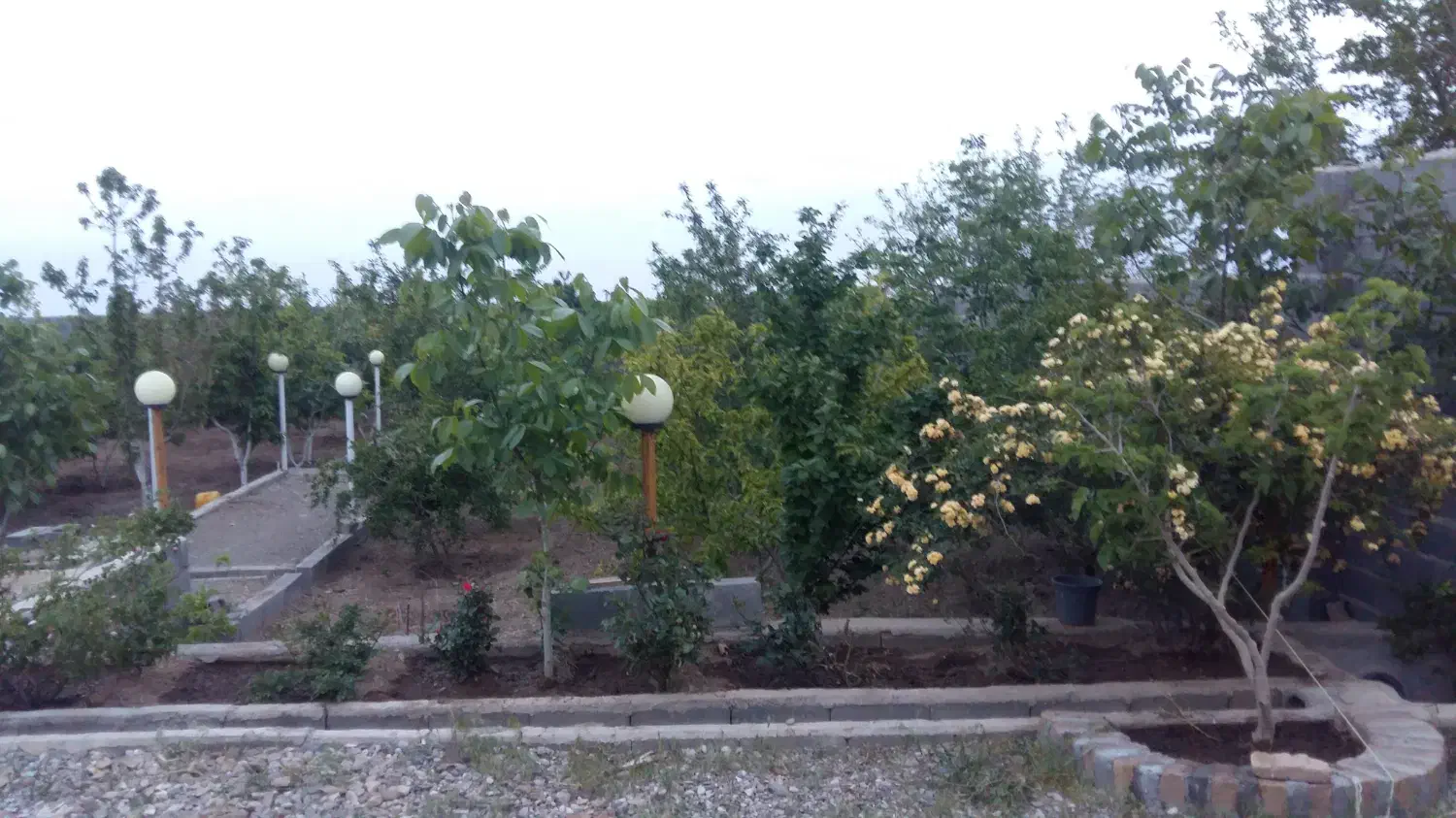 اجاره ویلا|اجارهٔ کوتاهمدت ویلا و باغ|ساوه, |دیوار