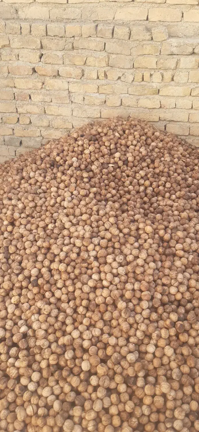 فروش گردو|عمده‌فروشی|شیروان (خراسان), |دیوار