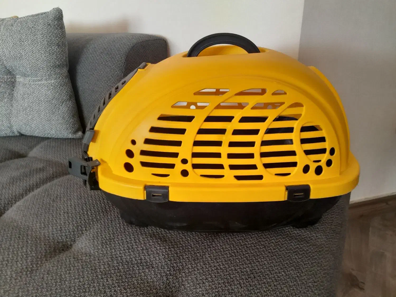 باکس|لوازم جانبی حیوانات|مشهد, کوثر|دیوار