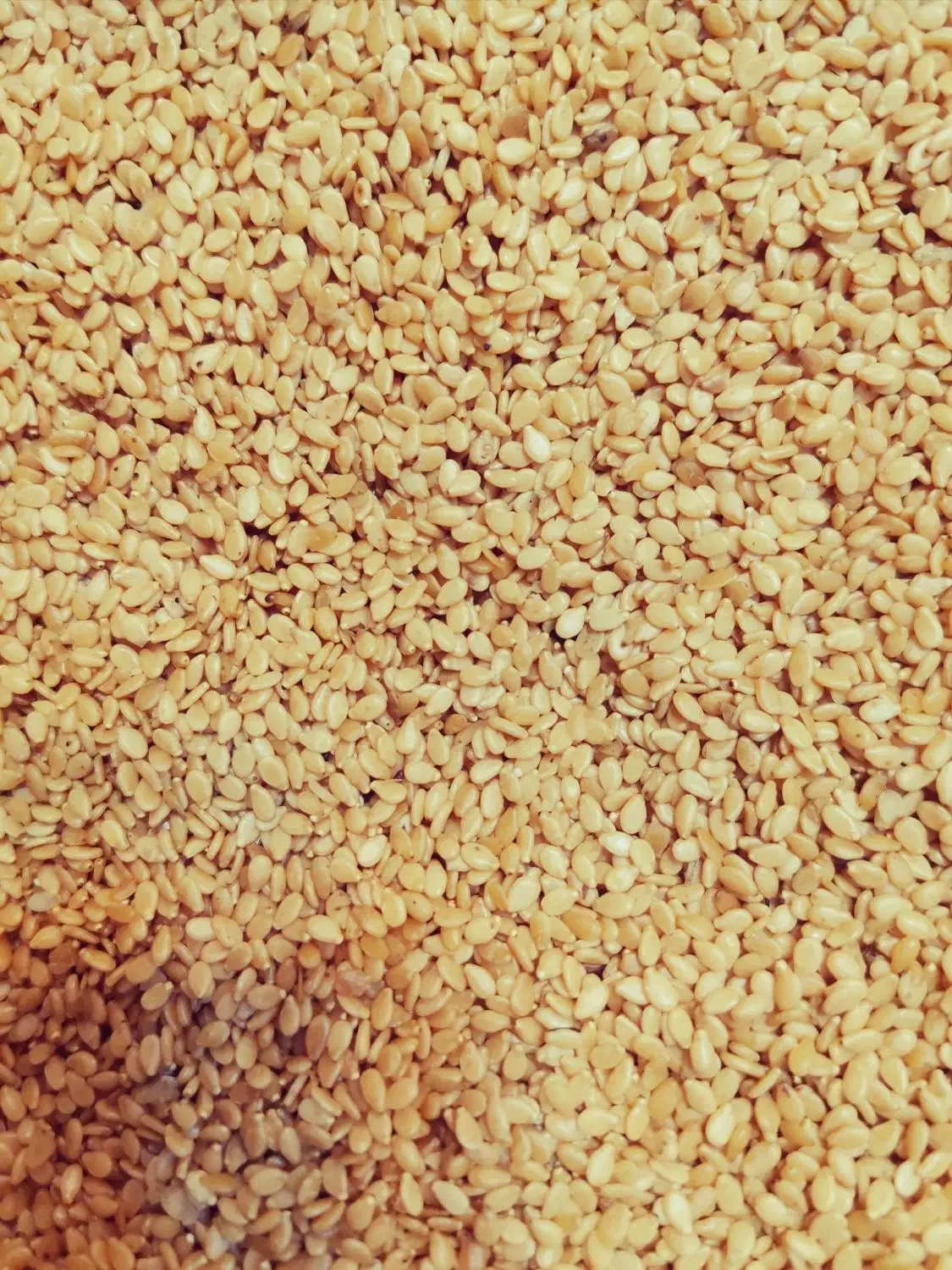 فروش عمده کنجد ارده دو آتیشه|عمدهفروشی|تبریز, |دیوار