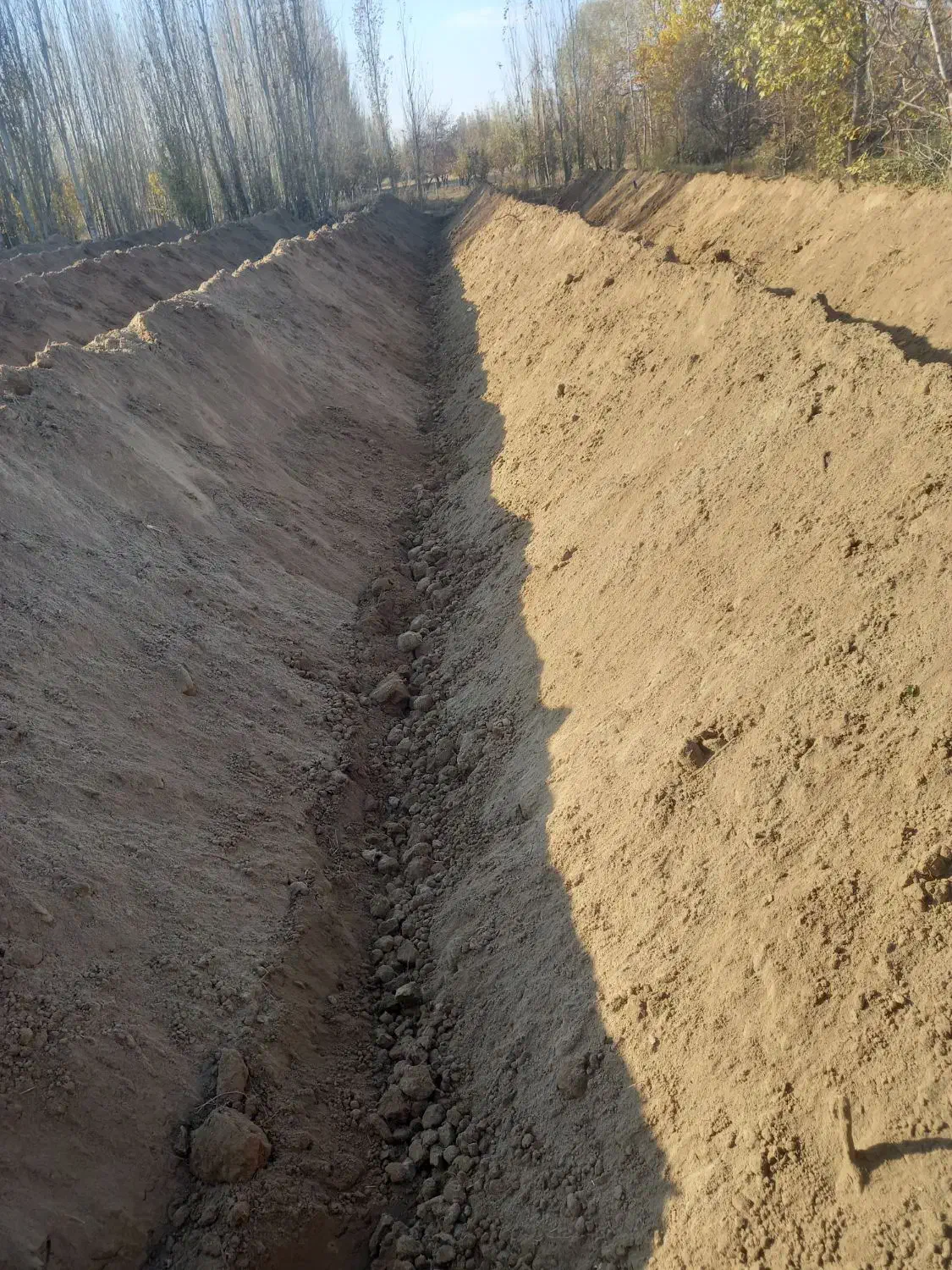 اجاره بیل مکانیکی|خودرو سنگین|ملکان, |دیوار