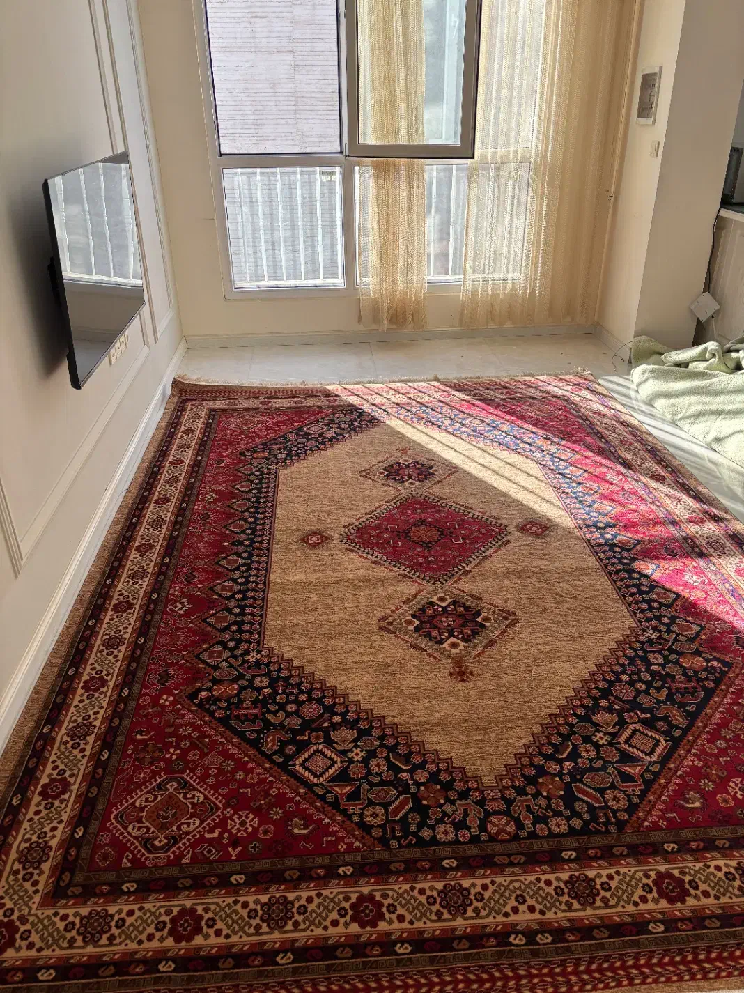 فرش تهران ۹ متری و ۱ در ۱/۵ متری|فرش|مشهد, الهیه|دیوار