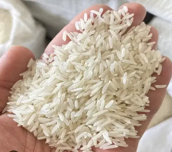 برنج فجر سوزنی۹۰روزه طعم عالی|خوردنی و آشامیدنی|آق قلا, |دیوار