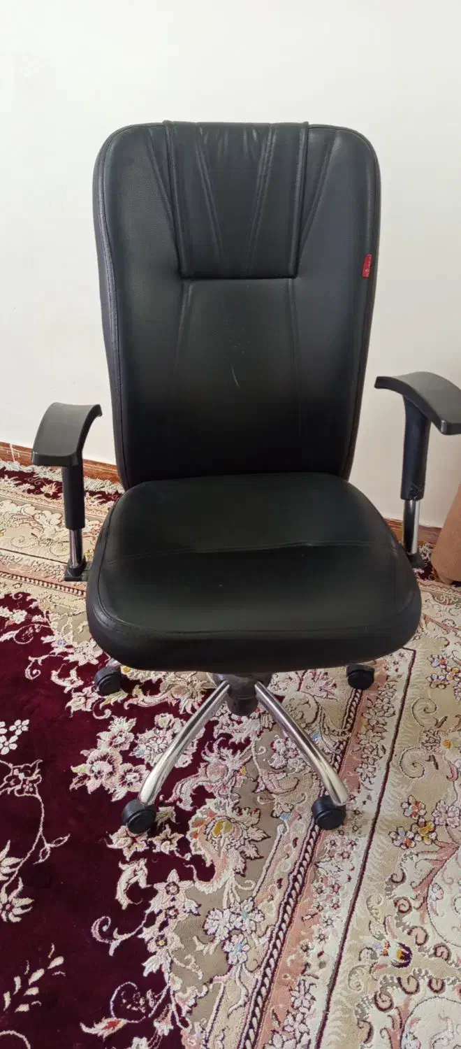 صندلی چرخ دار سالم|صندلی و نیمکت|قدس, شهر‌قدس|دیوار