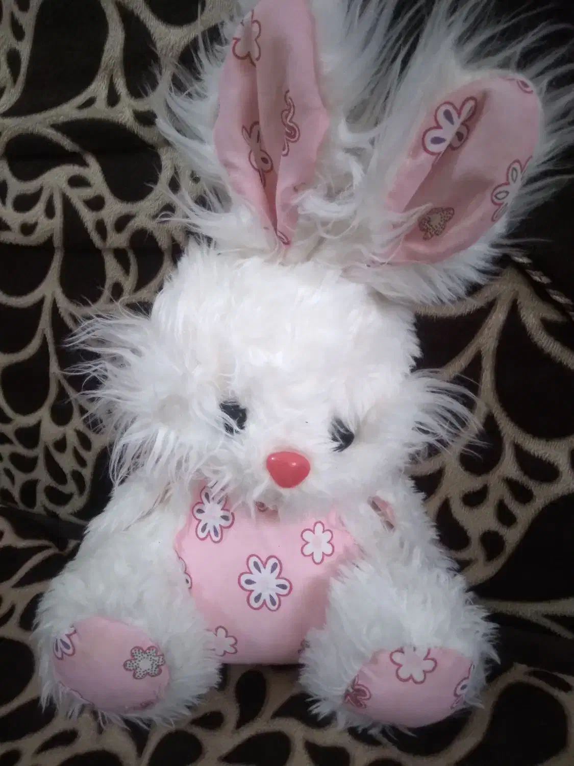 خرگوش زیبا|موش و خرگوش|فلاورجان, |دیوار