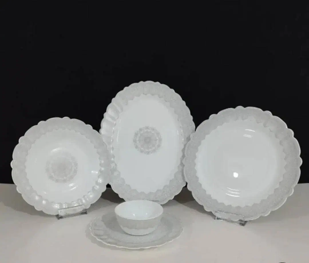 سرویس آیروپال،آرکوپال|ظروف سرو و پذیرایی|شیراز, محراب|دیوار