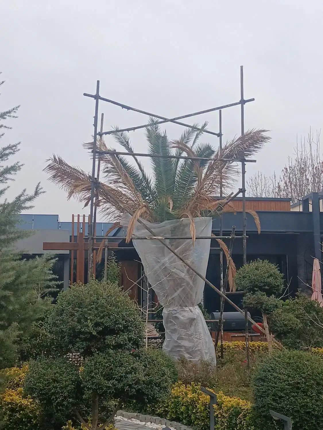 داربست فلزی سید|خدمات پیشه و مهارت|کرج, حصارک پایین|دیوار