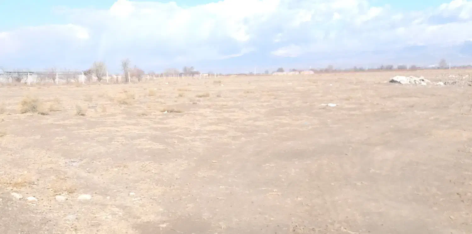 فروش فوری زمین|فروش زمین و ملک کلنگی|بشاریات, |دیوار