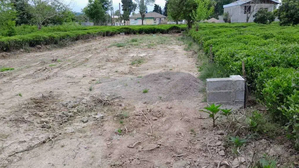 زمین با سند و پروانه|فروش زمین و ملک کلنگی|کومله, |دیوار