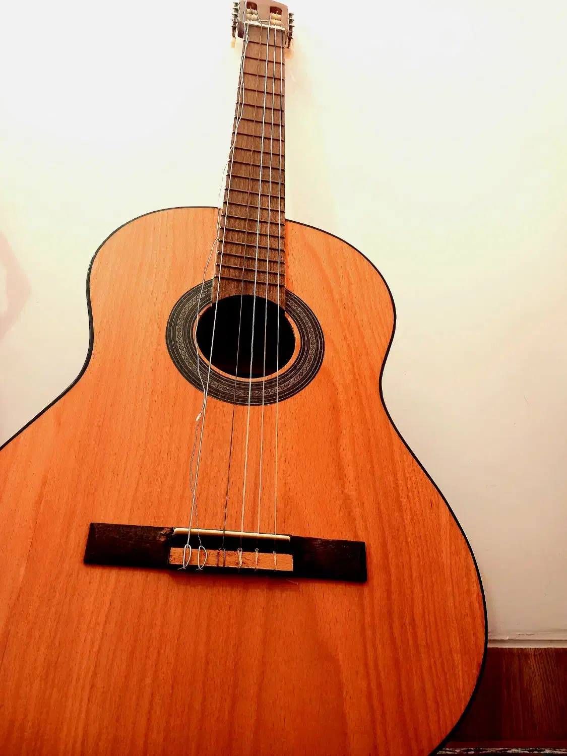 گیتار آموزشی رویال|گیتار، بیس، امپلیفایر|همدان, |دیوار