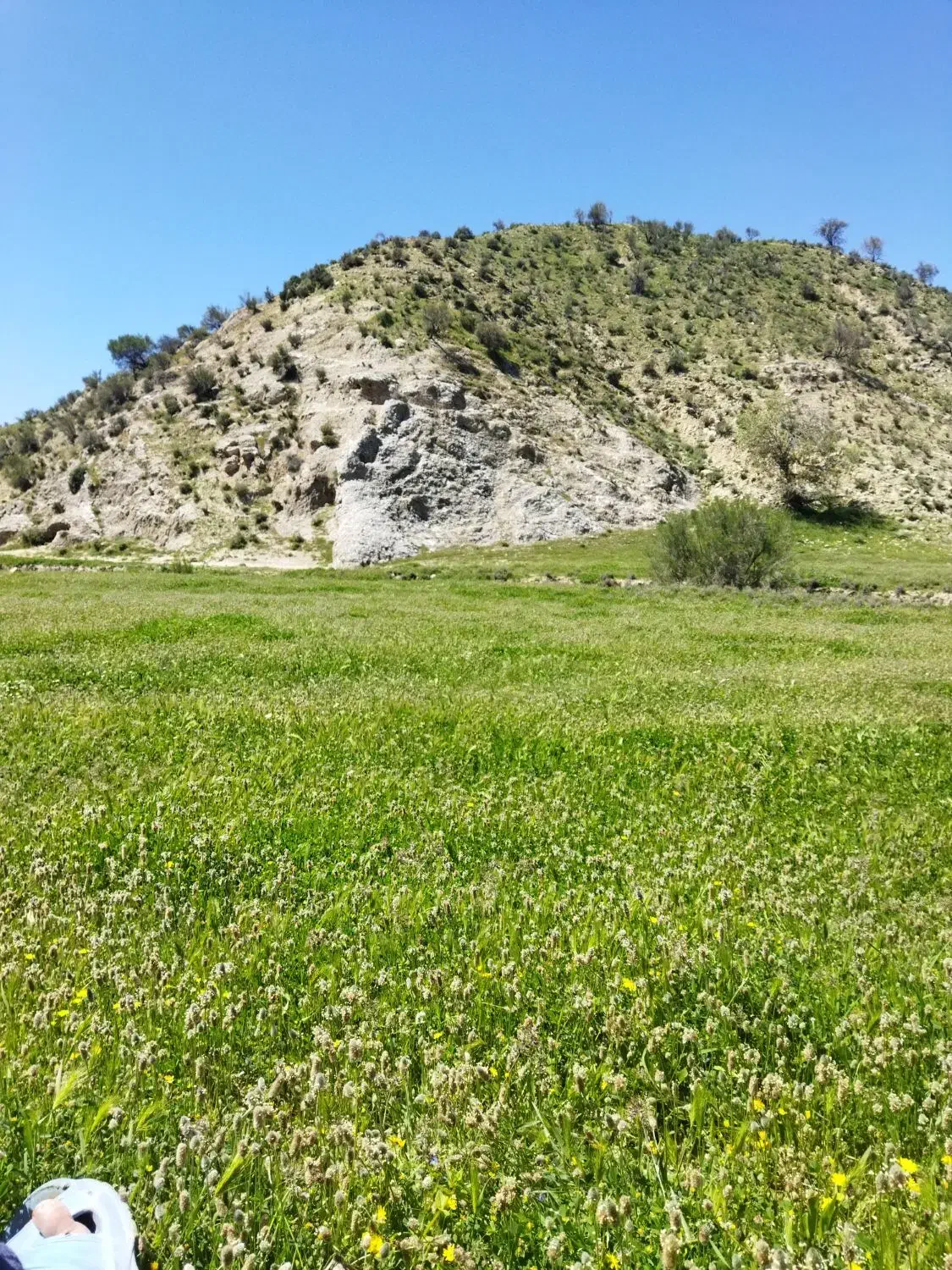 فروش زمین شرکتی|فروش زمین و ملک کلنگی|دهاقان, |دیوار