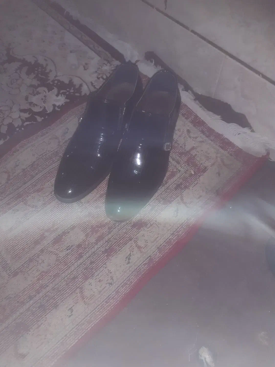 کفش چرمی|کیف، کفش، کمربند|مرودشت, ابوذر جنوبی|دیوار