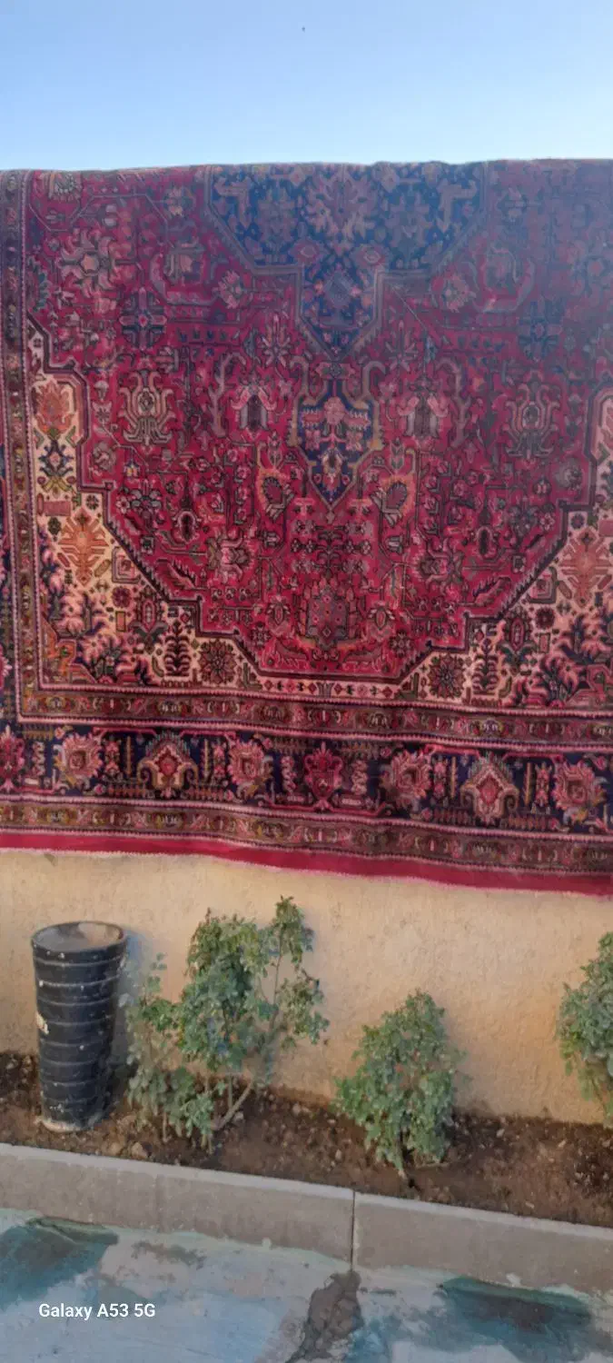 لوازم خانگی|فرش|چهارباغ, |دیوار