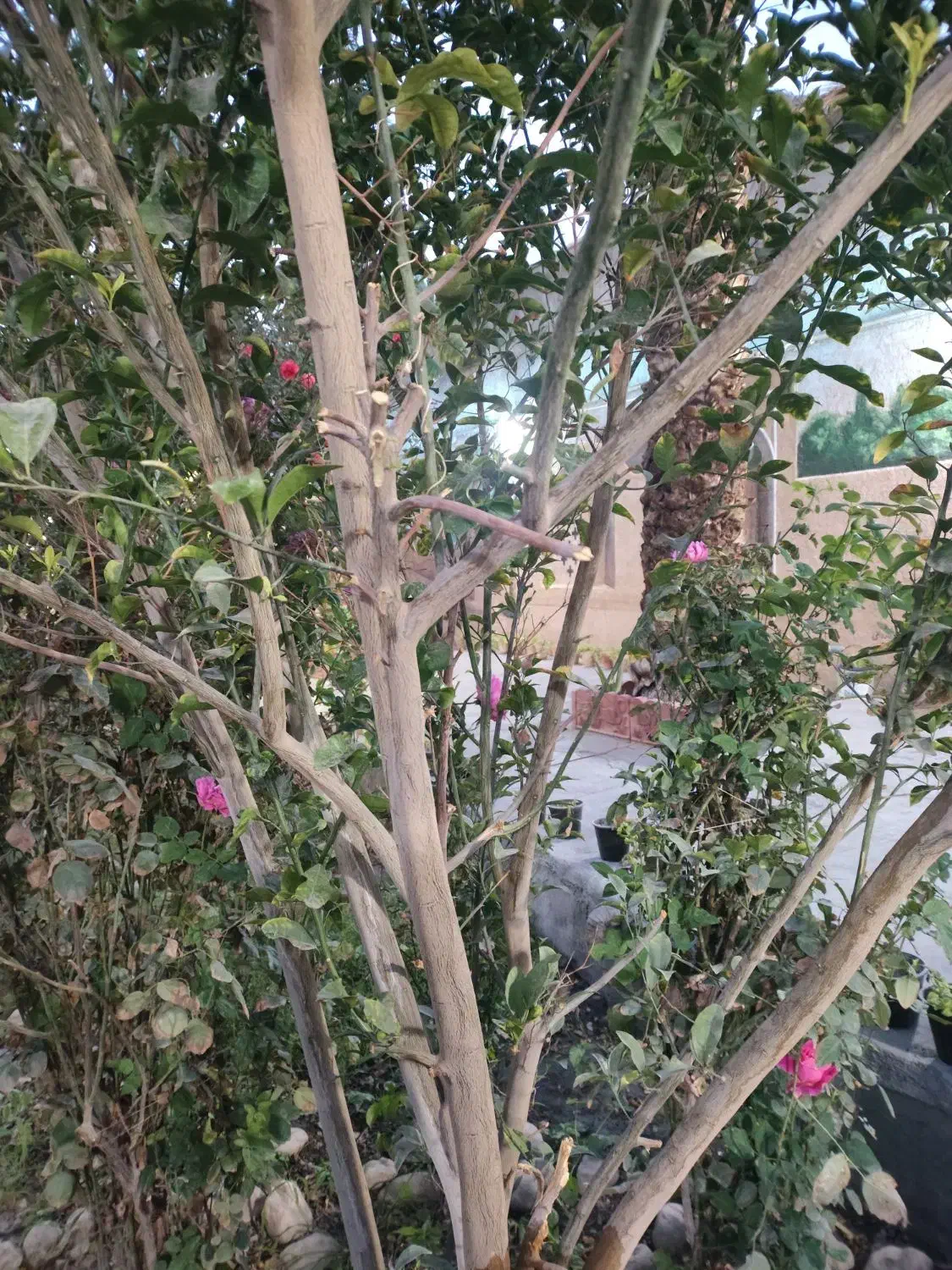 نیازمند یک نفر نیرو کار|استخدام خدمات فروشگاه و رستوران|بم, |دیوار