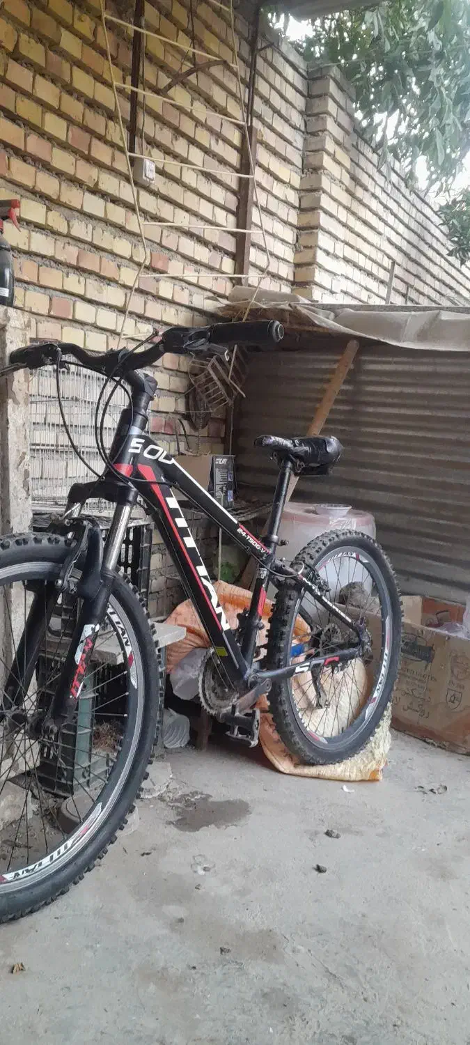 دچرخه ۲۴|دوچرخه، اسکیت، اسکوتر|گنبد کاووس, |دیوار