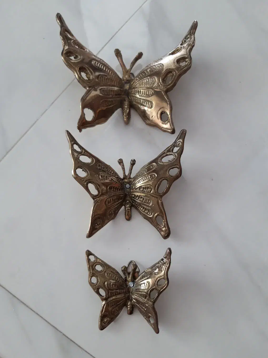 پروانه دیوار کوب برنز|مجسمه، تندیس، ماکت|احمدآبادمستوفی, |دیوار