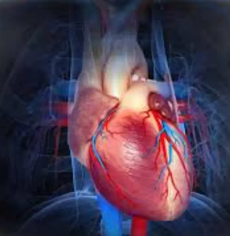 سلامتی|خدمات آرایشگری و زیبایی|حسین آباد, |دیوار