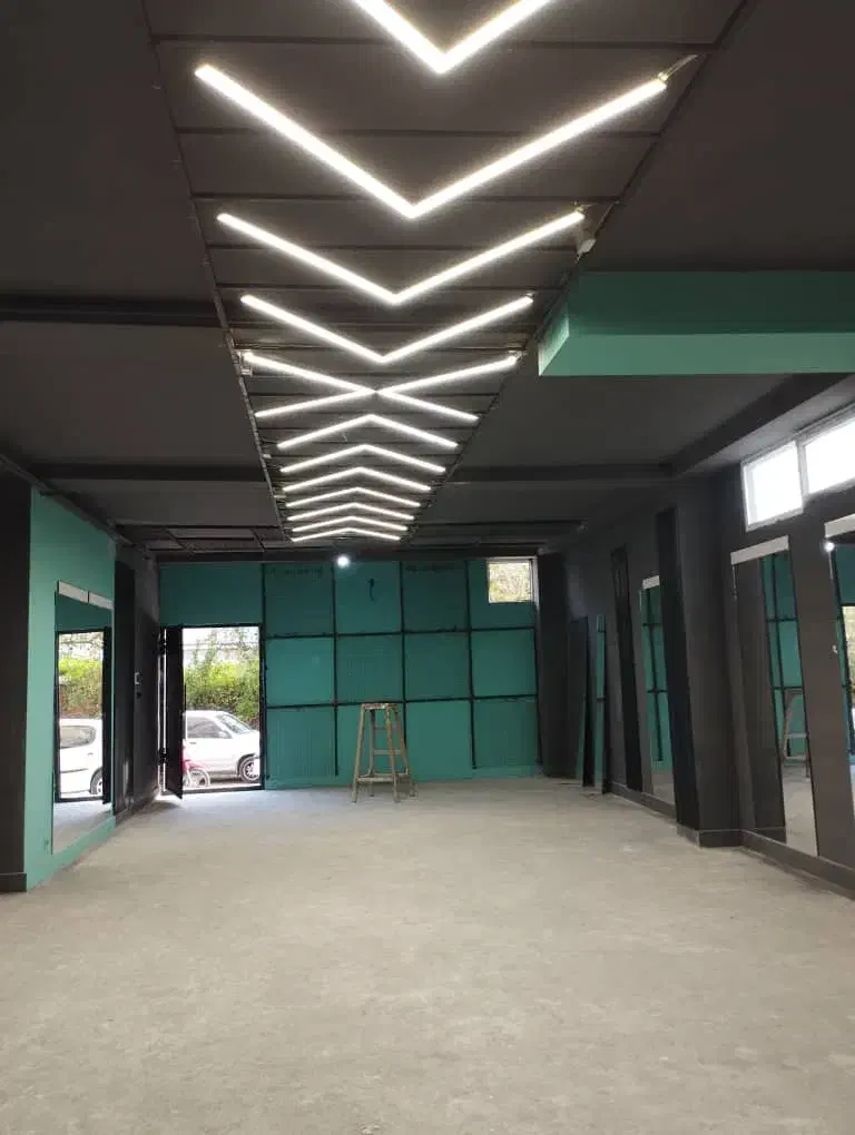 نقاشی ساختمان و عایق کاری|خدمات پیشه و مهارت|سورک, |دیوار