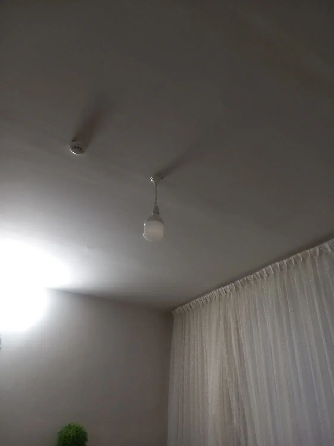 لامپ|لامپ و چراغ|گلبهار, شهر جدید گلبهار|دیوار