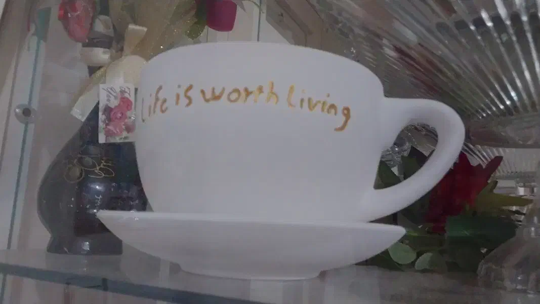 فنجان|مجسمه، تندیس، ماکت|مراغه, |دیوار