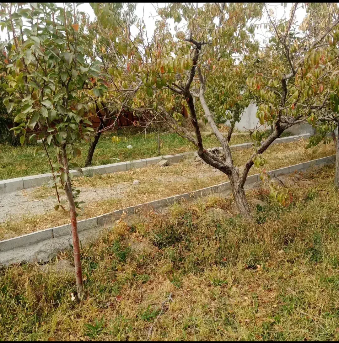 باغ ویلا ۶۵۰ متری قابل معاوضه|فروش خانه و ویلا|چناران, |دیوار