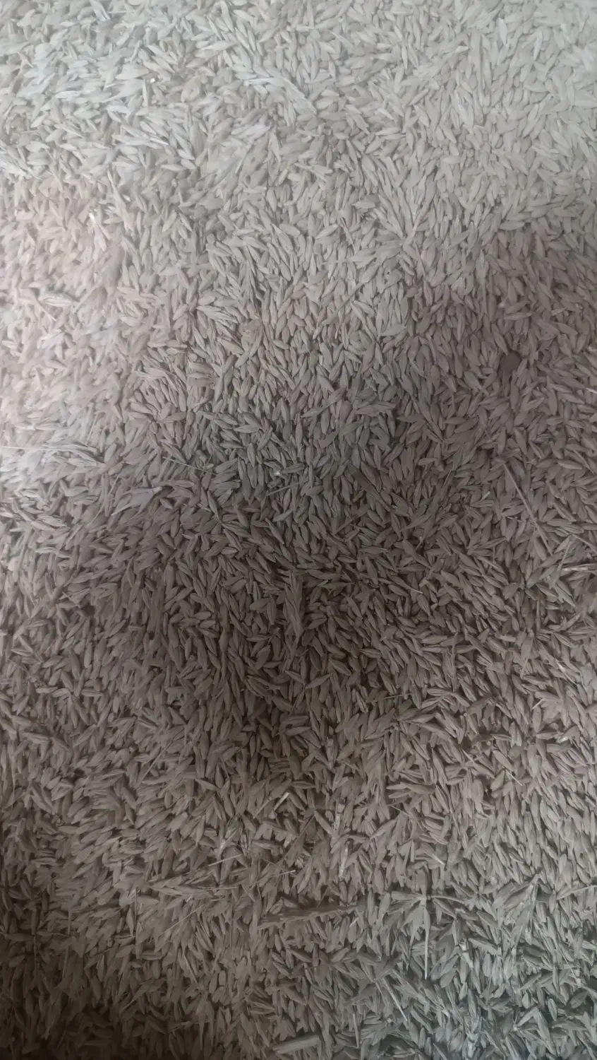 فروش جو ایرانی|خوردنی و آشامیدنی|شراء, |دیوار