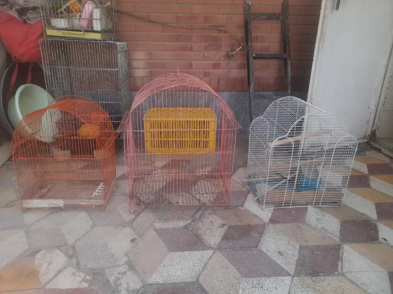 قفس پرنده در همه سایز سالم|لوازم جانبی حیوانات|شیراز, محراب|دیوار