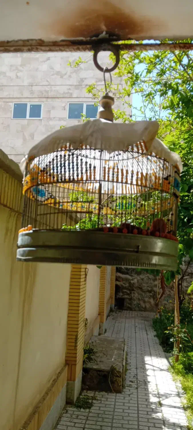 قفس|لوازم جانبی حیوانات|مشهد, کوثر|دیوار