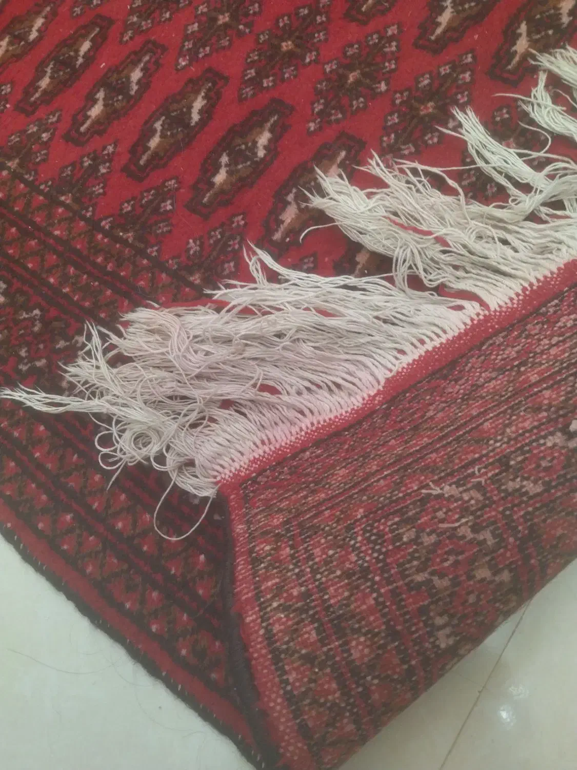 فروش فرش ترکمن|فرش|گلبهار, شهر جدید گلبهار|دیوار