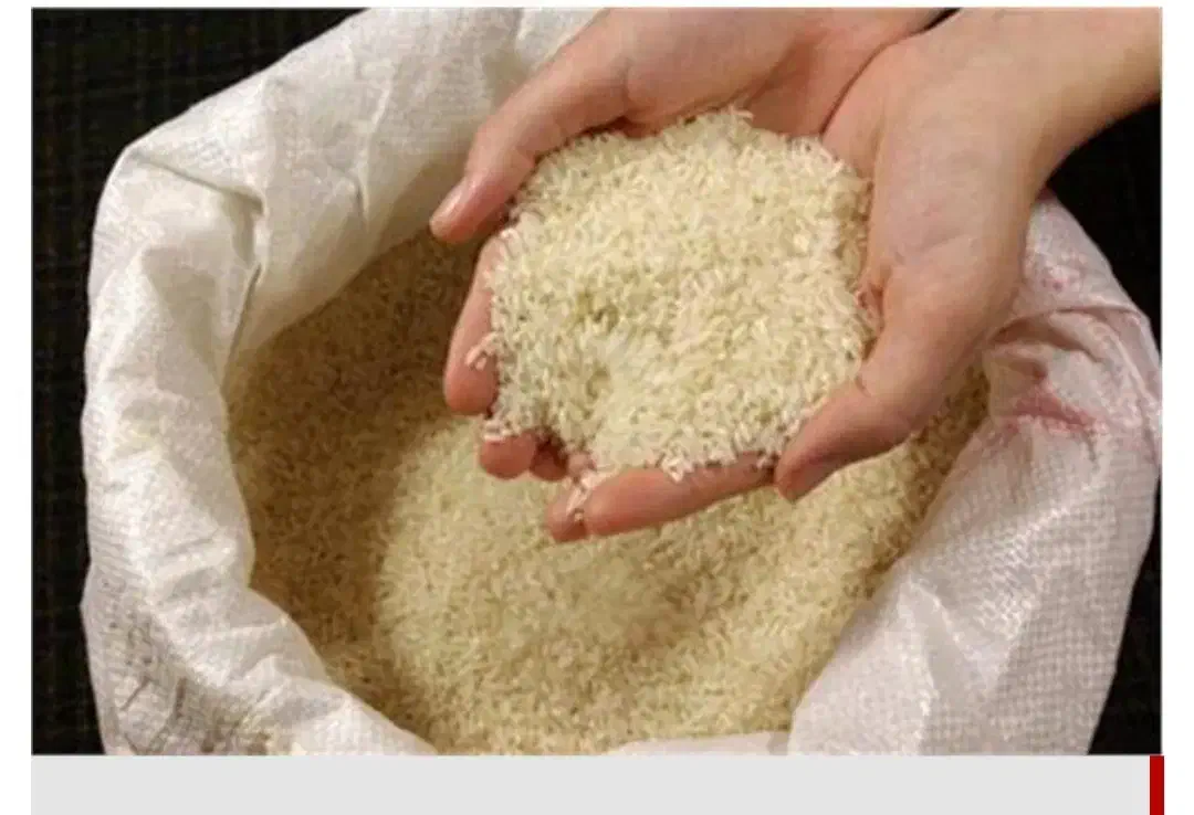 برنج محلی یکدست|خوردنی و آشامیدنی|رستم, |دیوار