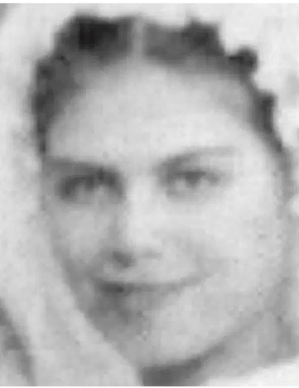 ترمیم عکس های قدیمی|تابلو، نقاشی، عکس|خرم‌آباد, |دیوار