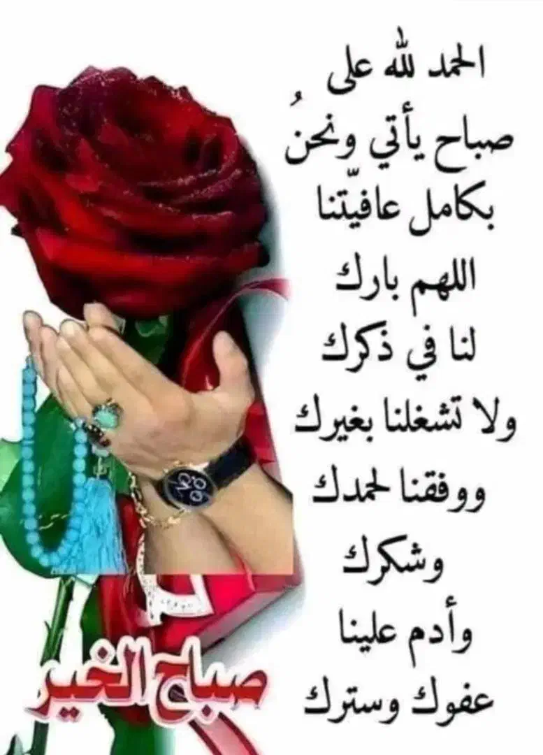 سرکتاب|کتاب و مجله مذهبی|اهواز, کوروش|دیوار