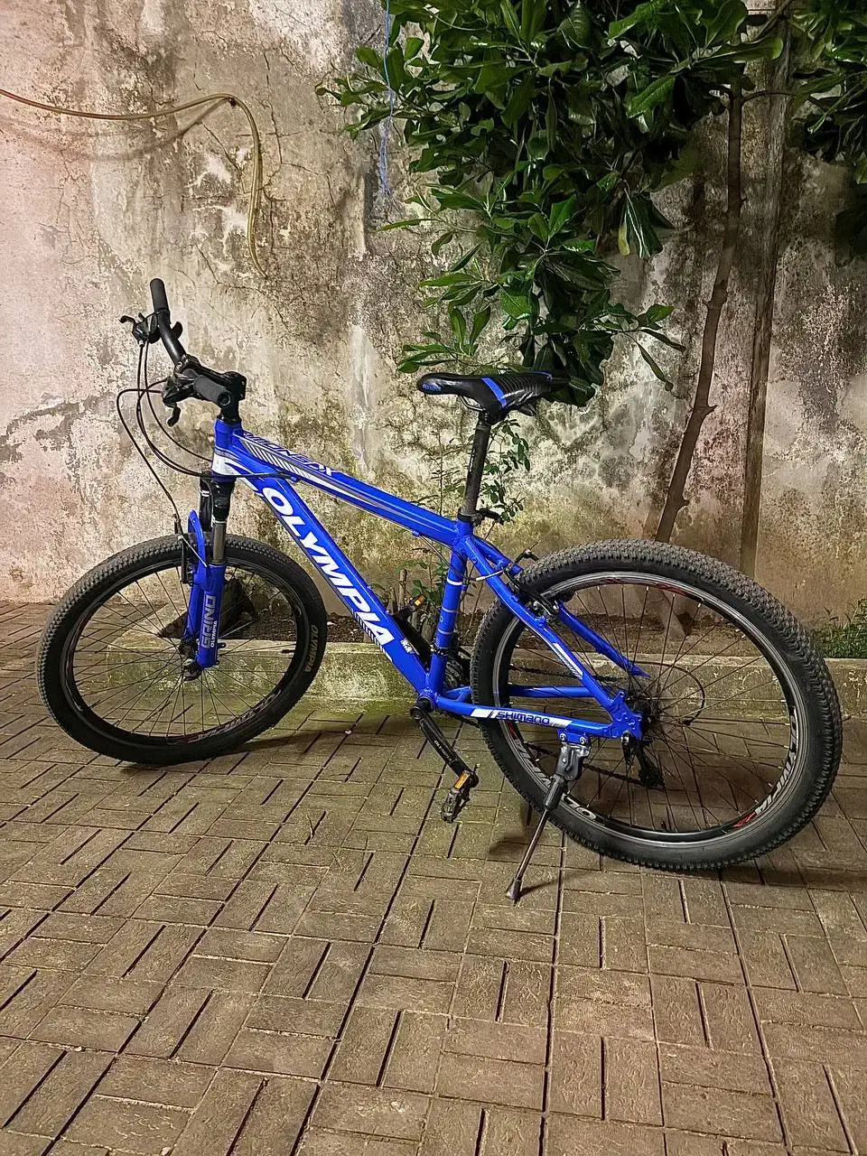 دوچرخه المپیا|دوچرخه، اسکیت، اسکوتر|رشت, هلال احمر|دیوار