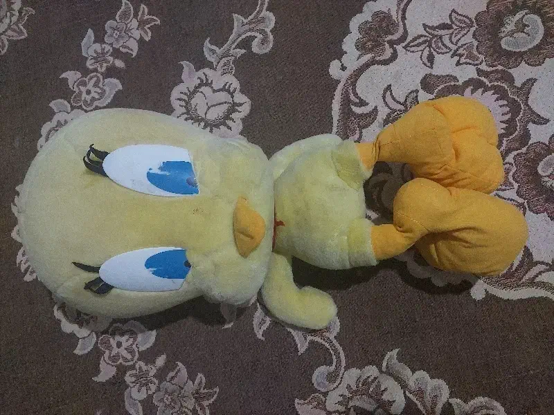 عروسک|اسباب‌‌بازی|قوچان, |دیوار