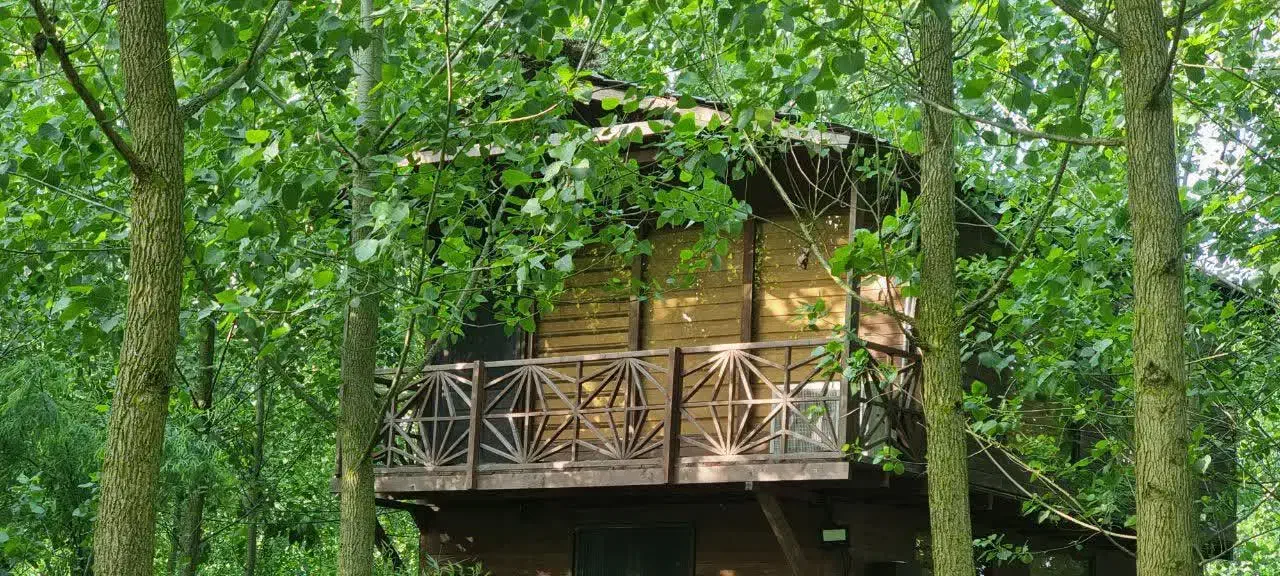 فروش ویلا ناب در دل الماس سبز|فروش خانه و ویلا|آبیک, |دیوار