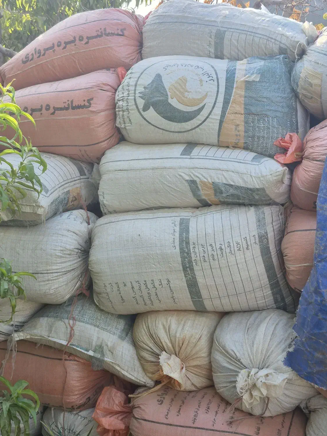 کود گوسفندی|خدمات باغبانی و درختکاری|هشتگرد, سعید آباد|دیوار