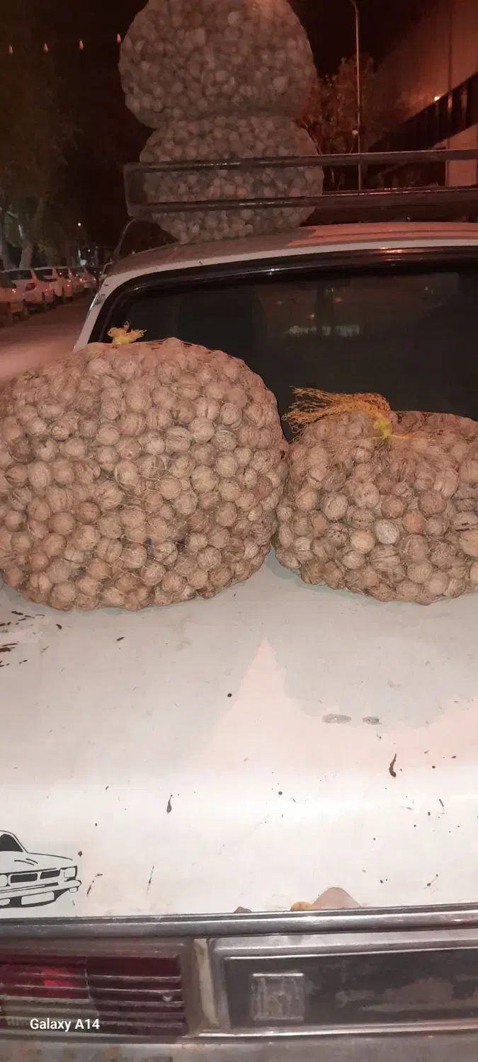 گردوخانسار|عمده‌فروشی|سنندج, |دیوار