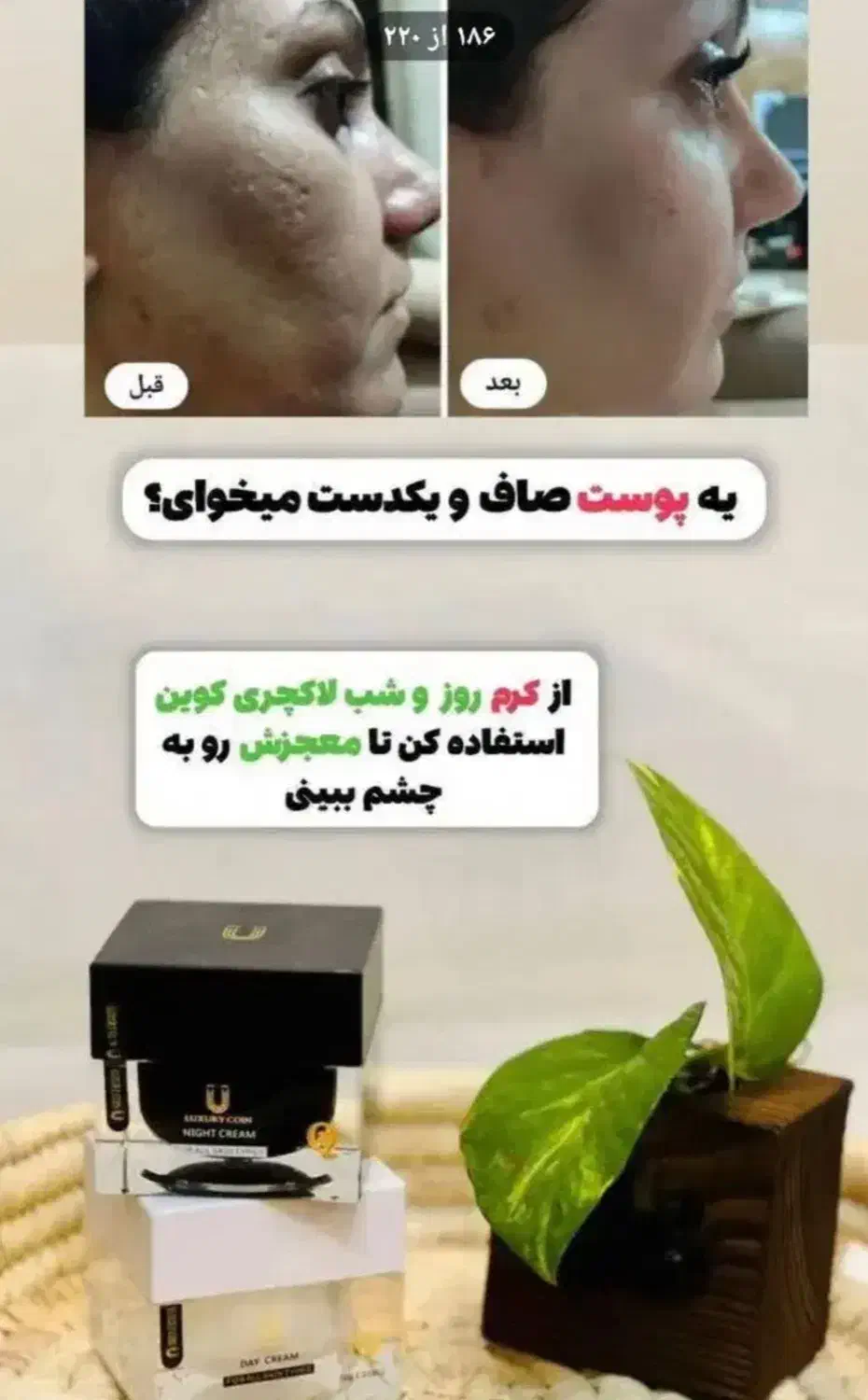نمایندگی رسمی کرم روز و شب لاکچری کوین فرانسوی|آرایشی، بهداشتی، درمانی|قم, دانشگاه قم|دیوار
