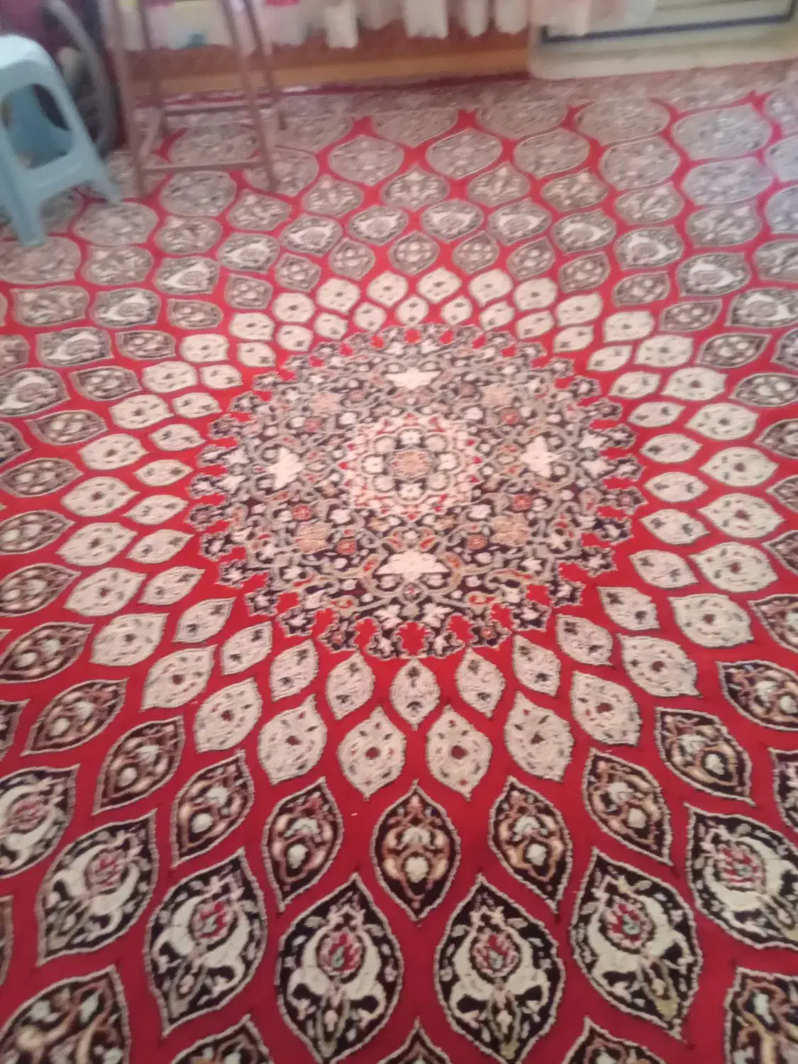 فرش دوازده متری|فرش|تاکستان, |دیوار