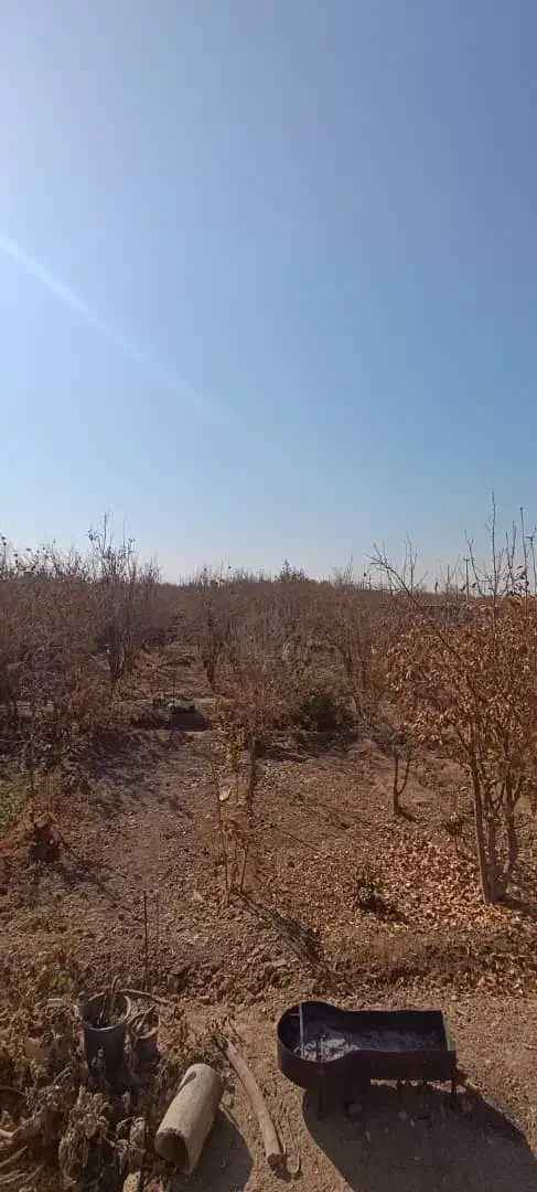 باغ چهاردیواری|فروش زمین و ملک کلنگی|برخوار, |دیوار