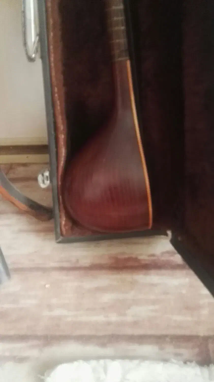 سه تار کاسه یک تکه مهر یا برند دهقانی|سازهای سنتی|صدرا-فارس, فاز ۱|دیوار