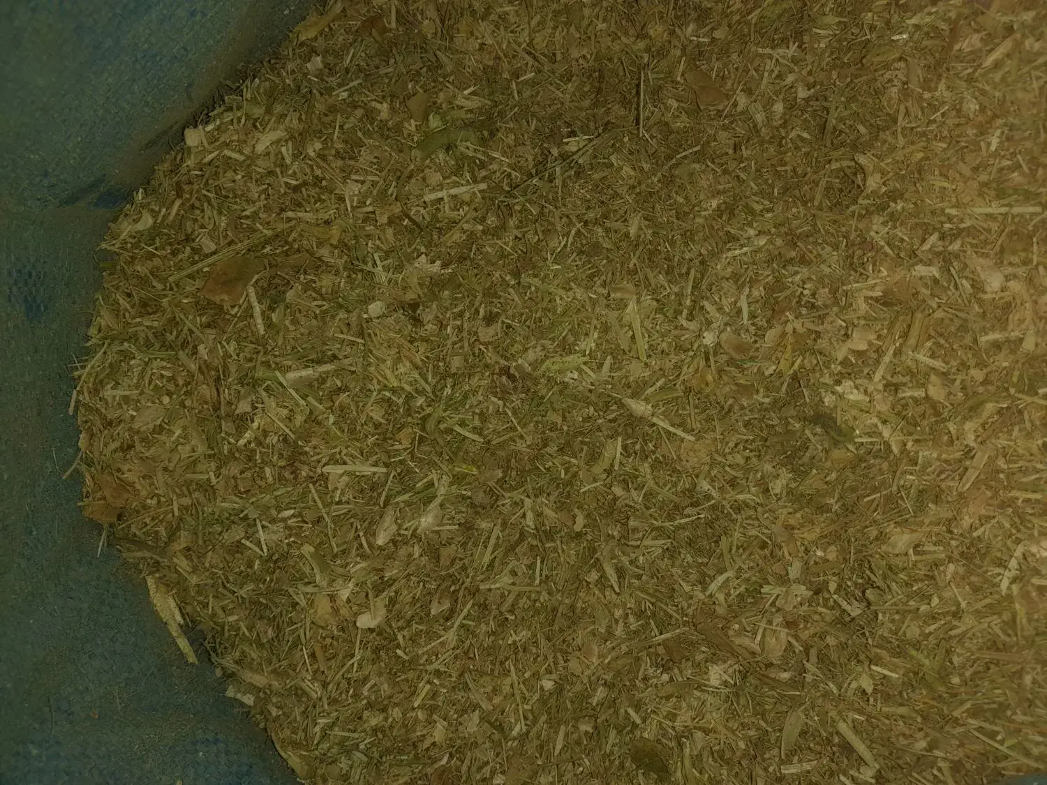 کاه لوبیاچیتی|لوازم جانبی حیوانات|لاران, |دیوار