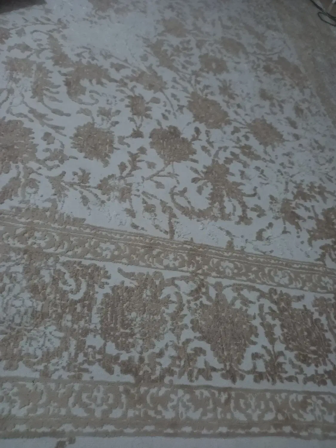 فرش ۱۲ متری|فرش|گرگان, |دیوار