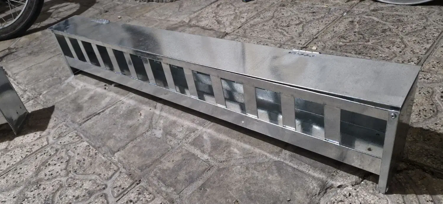 دانه خوری کبوتر|لوازم جانبی حیوانات|شیراز, شیخ علی چوپان|دیوار