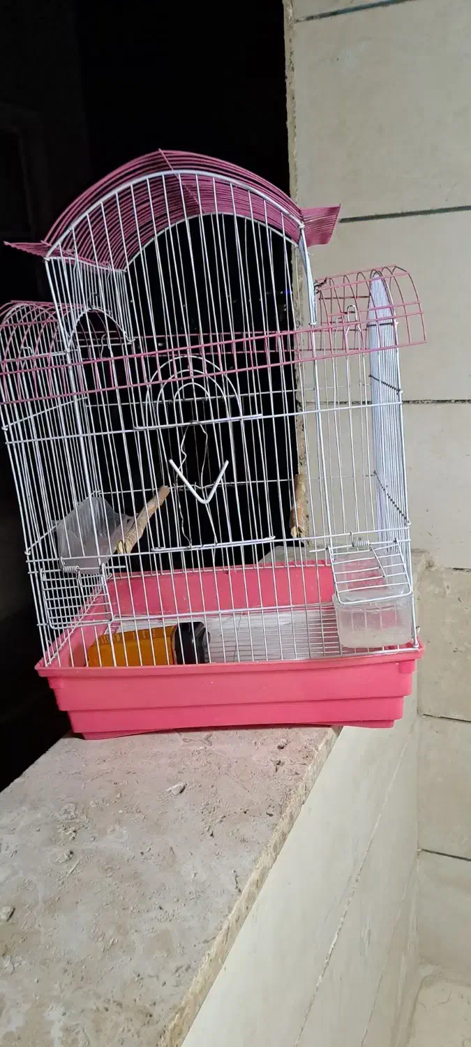 قفس پرنده|لوازم جانبی حیوانات|محمدشهر, ولدآباد|دیوار