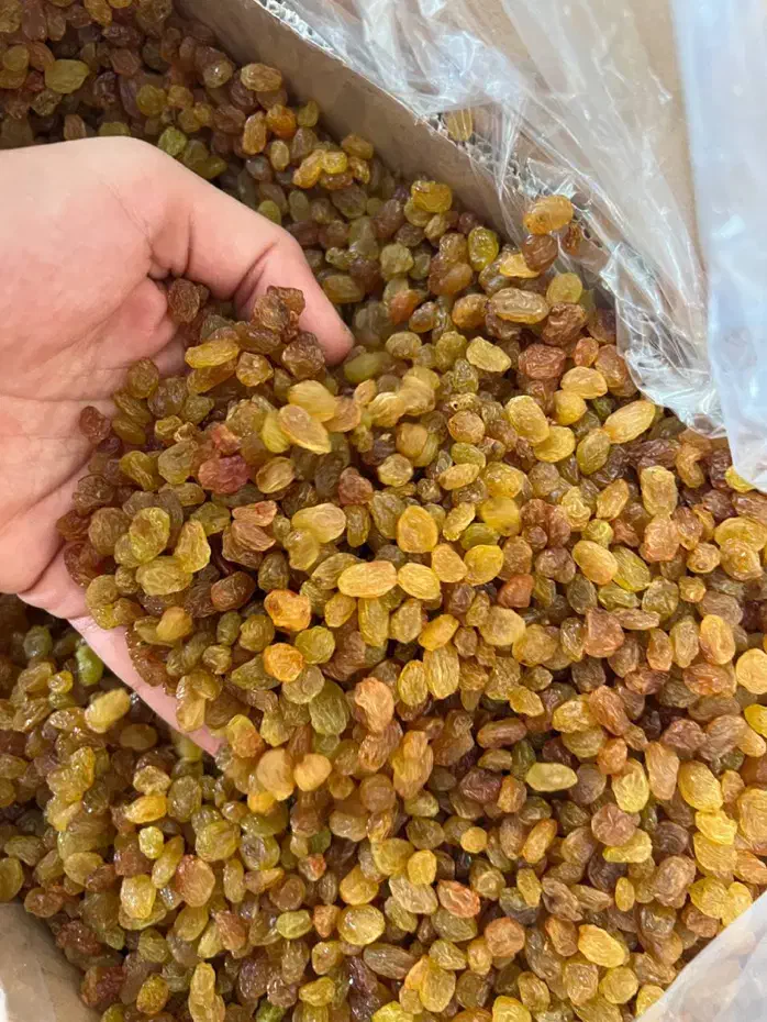 کشمش اصل تاکستان|خوردنی و آشامیدنی|تهران, بازار|دیوار